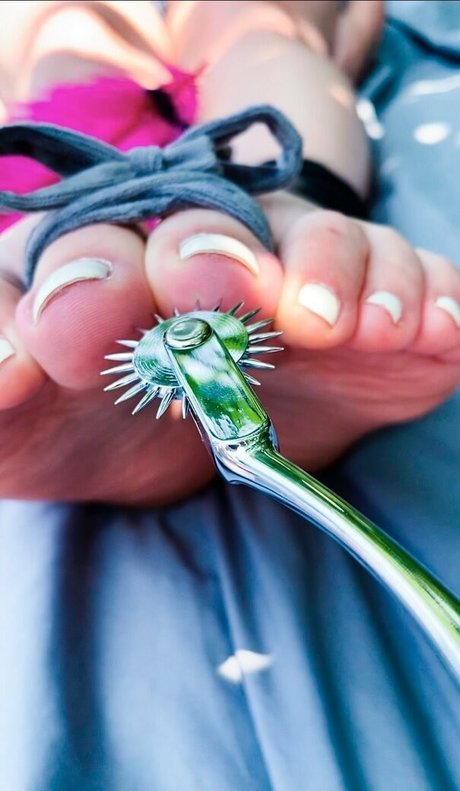 ticklebxtra erwachsene perfekte archiv