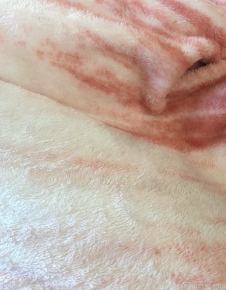 geminiscamp freie schöne foto