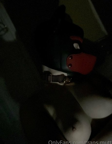 trans mutt perfekte akt galerie