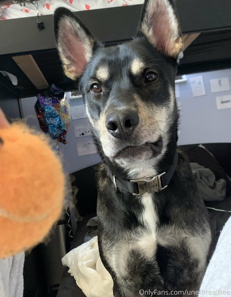 unethrealfree xxx pornostar fotos