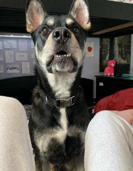 unethrealfree hd xxx fotos