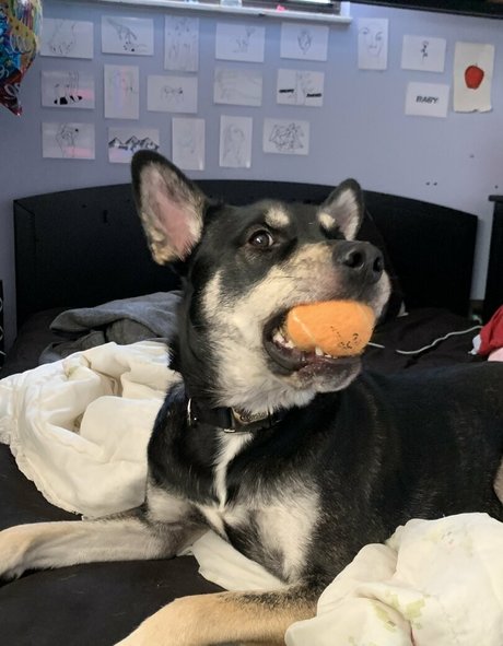 unethrealfree sexy schöne bilder