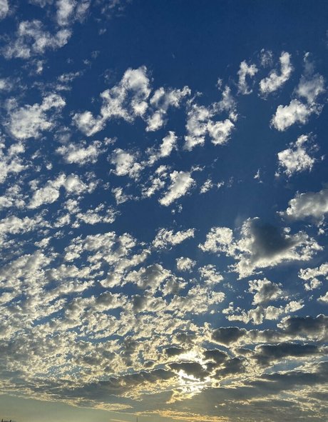 freebunbun erwachsene pornografische galerie