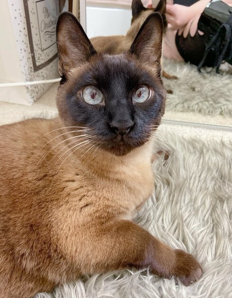 freebunbun freie top bild