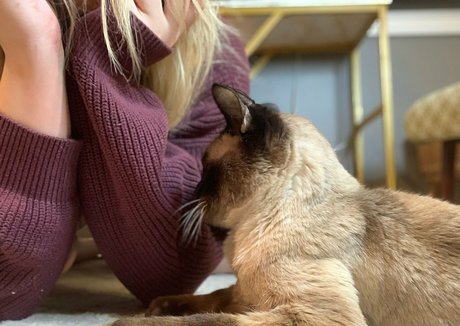 freebunbun kostenlose hübsche foto