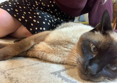 asiatische dp-onlyfans sexy pornografische galerien