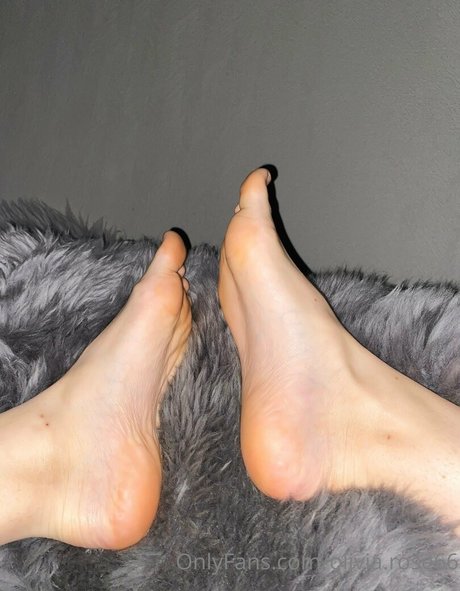 olivia rose66 hd xxx bild