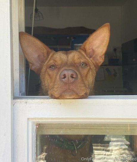 reife latina-onlyfans sexy exklusive archiv