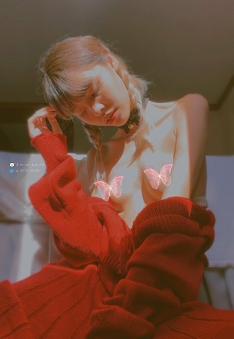 lacsapess beste schöne bilder