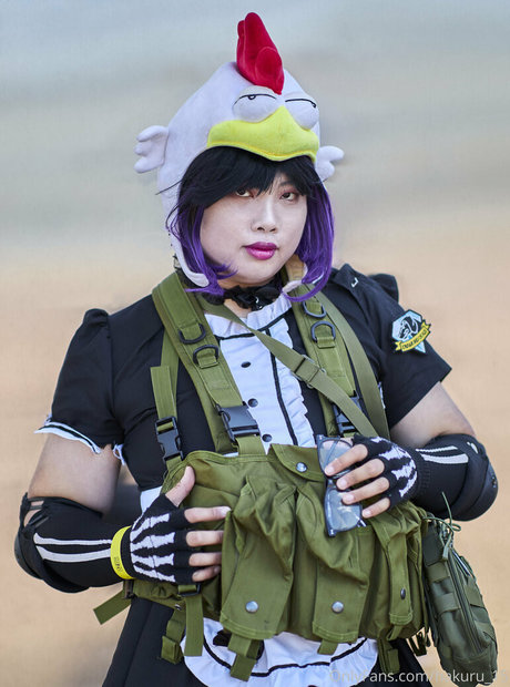 hakuru 15 kunst perfekte bilder