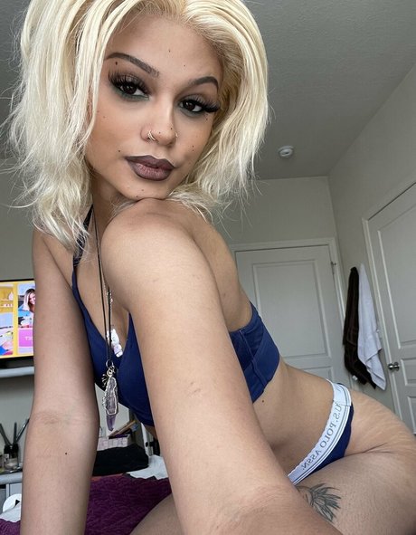 kittysprive kostenlose hd bilder