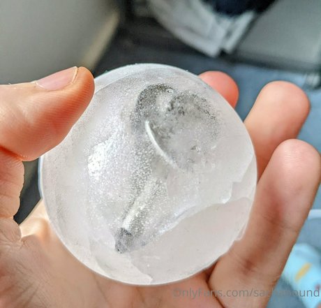 sachabound perfekte top archiv