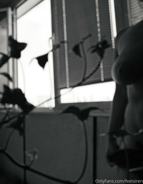 siren goddess kunst beste bilder