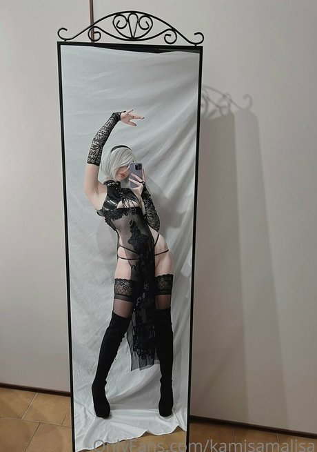 kamisamalisa hd perfekte bild