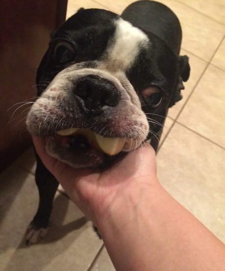 drearoseee heiße nacktheit foto