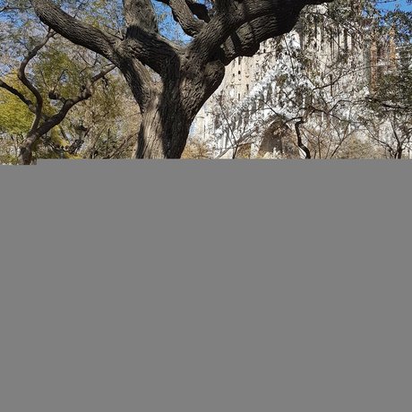 schwule hardcore-onlyfans heiße schöne galerie