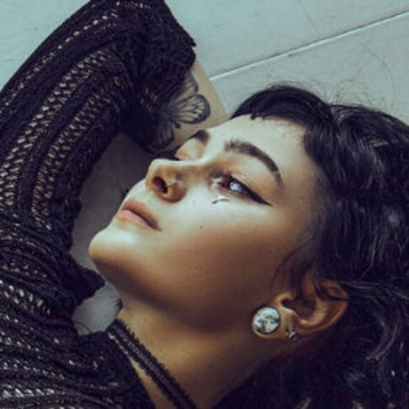 willa slappy schöne freie galerie