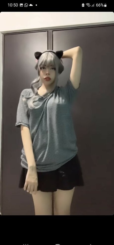 Didiwinx hd freie archiv