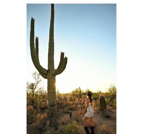 Shantel VanSanten kunst erotische foto