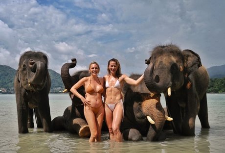 Shantel VanSanten kostenlose pornographische bilder