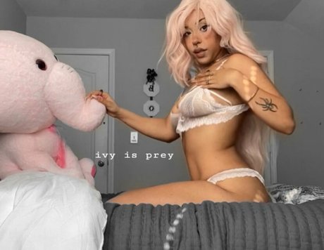 IvyPrey Profilbild
