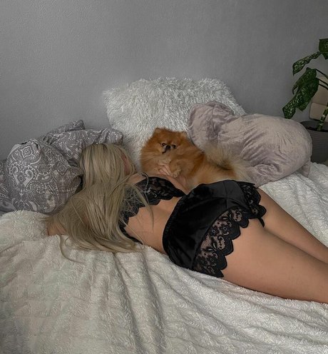 Sophyvibess hd freie bilder