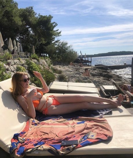 Sillygingervegan beste exklusive galerien