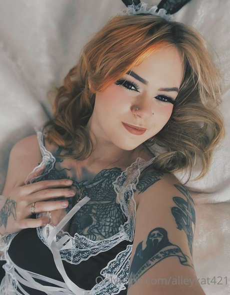 Alleykat421 Profilbild