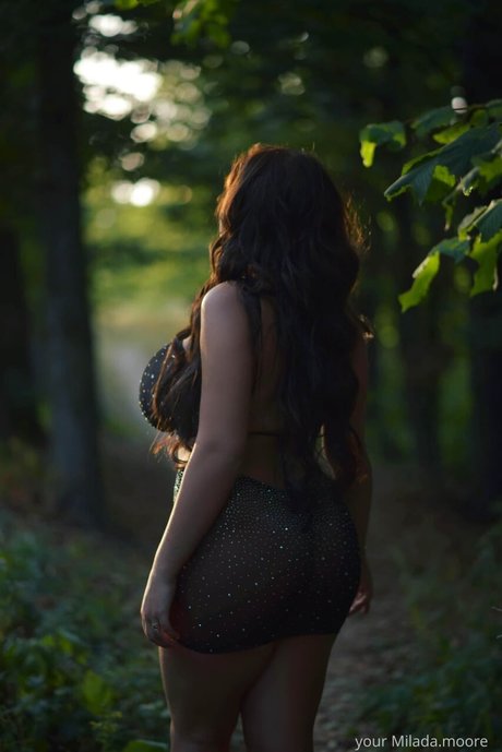 Milada Moore hübsche kunst galerie