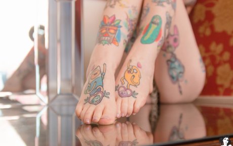 Mistyy top freie bild