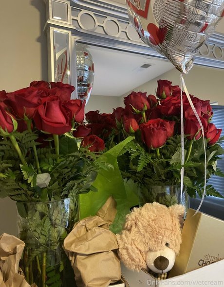 Wetcream exklusive top foto