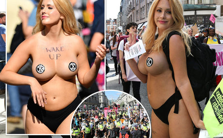 Laura Amherst top archiv