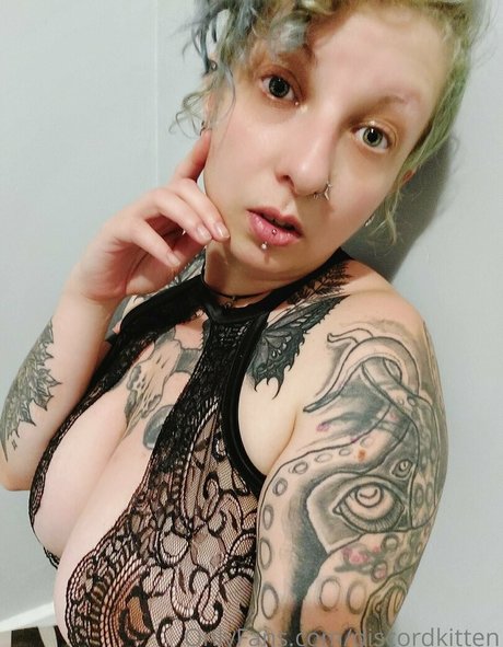 Discordkitten model freie bild