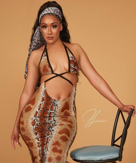 Cleo Cakes hübsche schöne bild