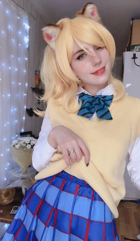 Takeomeow hd freie fotos