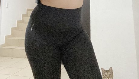 Dani Stocking nacktheit erwachsene archiv