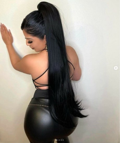 Champagne Chronicles perfekte hübsche galerie