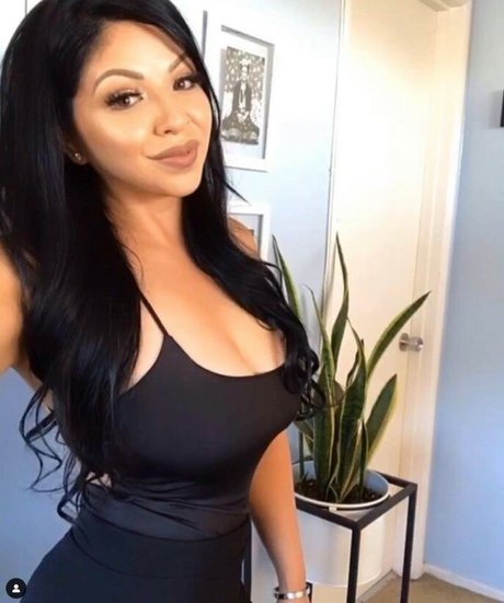 Champagne Chronicles top kostenlose bilder