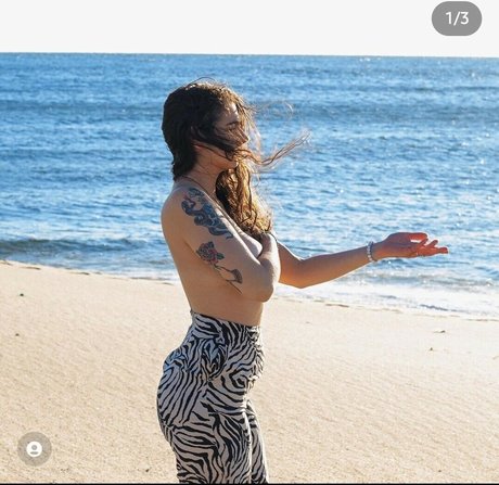 Danarhakos beste kunst archiv