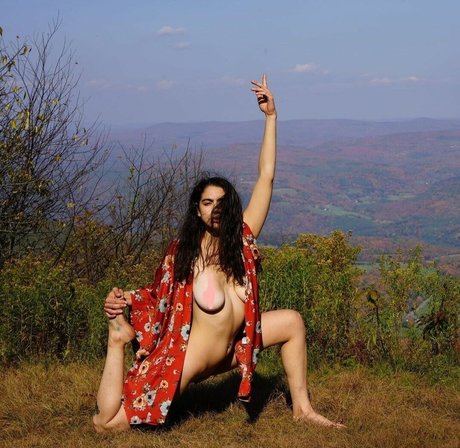 Danarhakos kunst perfekte galerien