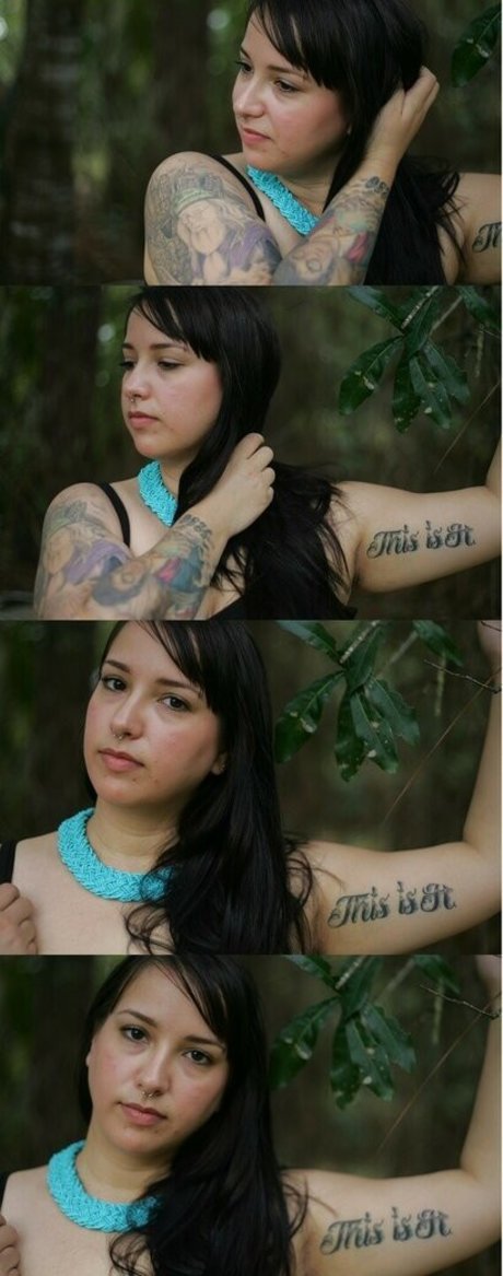 Silvercharmer Bilder