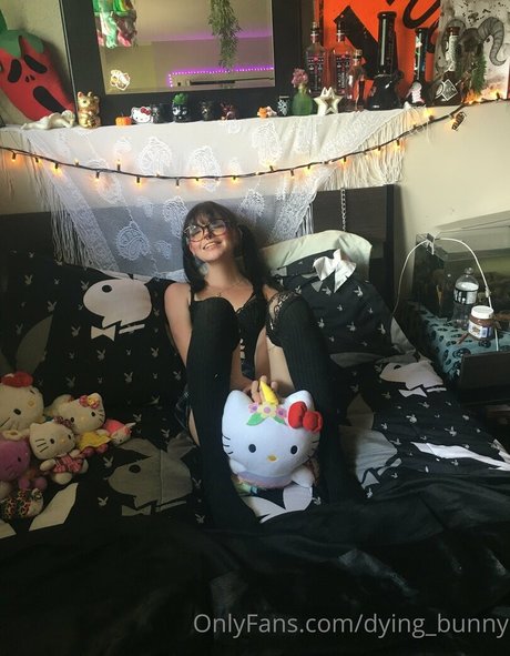 Dying bunny erotische sexy bilder