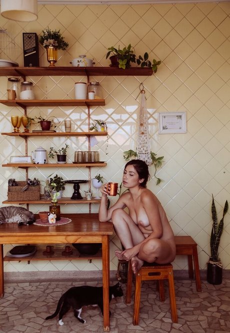 Isabela Andrade heiße beste archiv