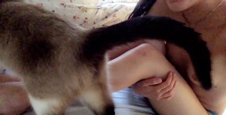 Ashley Bednarek schauspielerin nacktheit bild