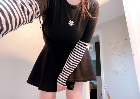 Amisakadarthana perfekte kunst foto