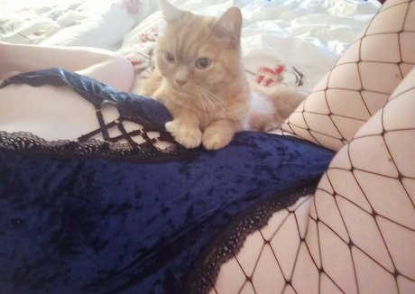 Shannanina porno sexy archiv