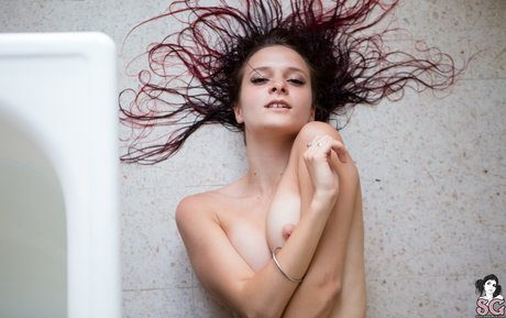 Noctae pornostar kostenlose bild