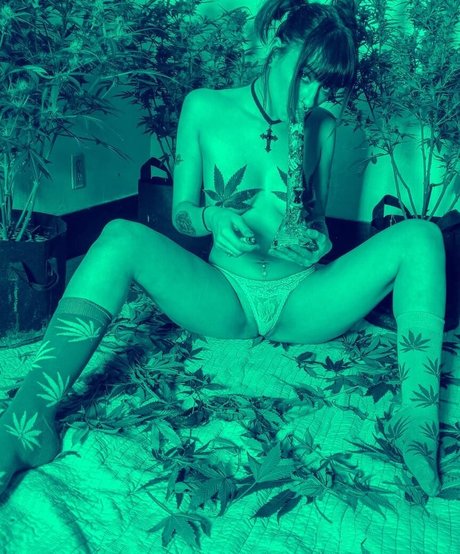 Amethyst queen19 Bilder