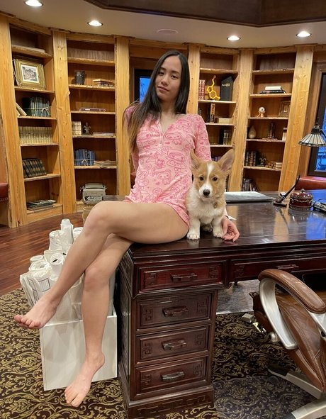 elixir elf exklusive galerien