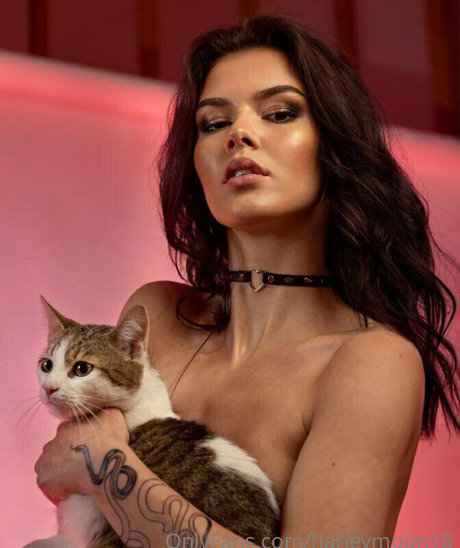 rekadora nacktheit akt archiv